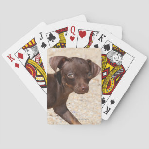 Chihuahua Puppy Walking Playing Cards