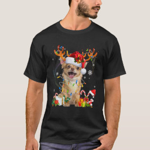 Chihuahua Reindeer Santa Hat Christmas Tree Lights T-Shirt
