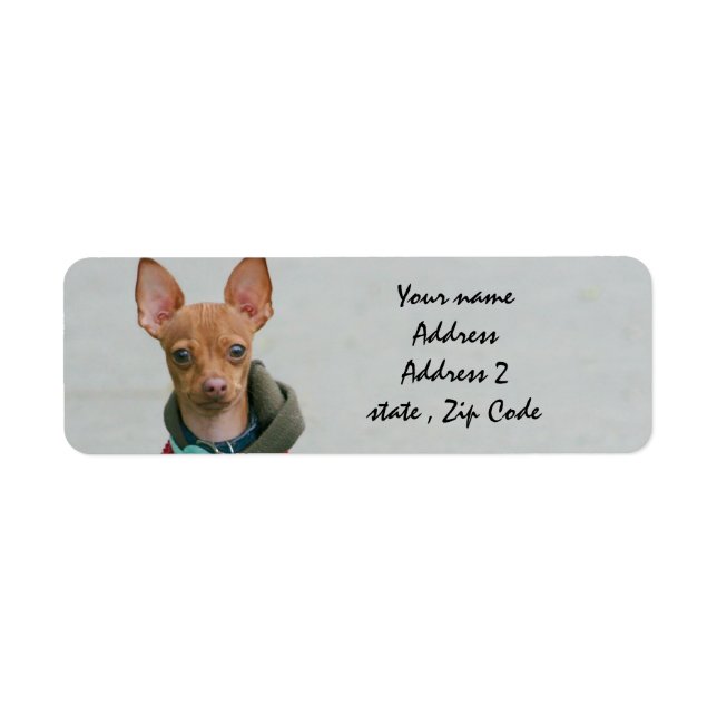 Chihuahua Return Address Label (Front)