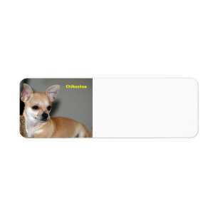 Chihuahua Return Address Label