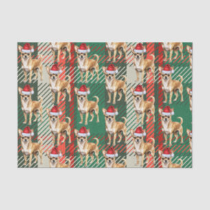 Chihuahua Santa Dog on Plaid Christmas Holiday Tissue Paper