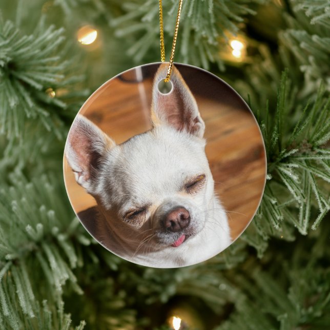 Chihuahua sleepy squint relaxed tongue out Photo Ceramic Ornament (Tree)