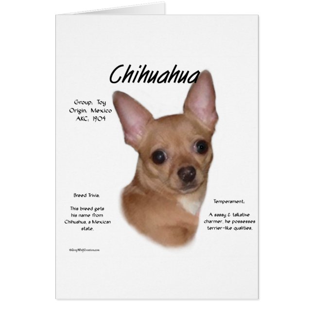 Chihuahua (smooth) History Design (Front)