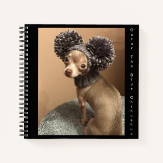 Chihuahua spiral notebook