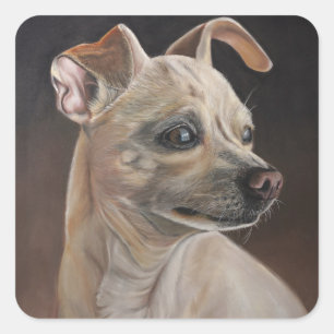 Chihuahua stickers