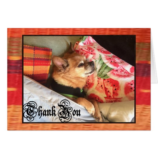 Chihuahua 'Thank You' Blank Card for Anyone