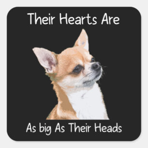 Chihuahua Their Hearts Are As Big As Their Heads Square Sticker