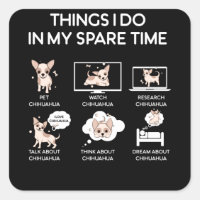 chihuahua things i do in my spare time