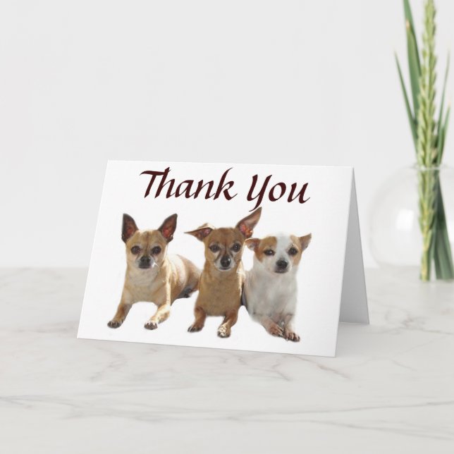 Chihuahua Trio Thank You Card (Front)