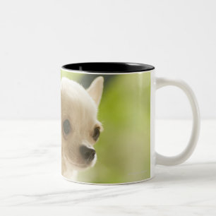 Chihuahua Two-Tone Coffee Mug