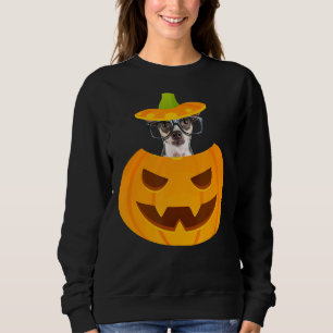 Chihuahua W Glasses Peeking Out Of Jack O Lantern Sweatshirt