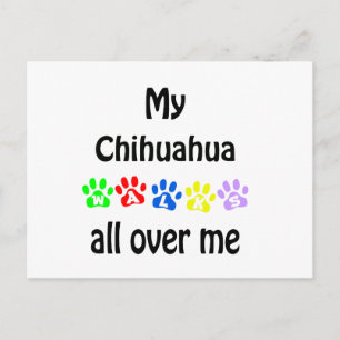 Chihuahua Walks Design Postcard