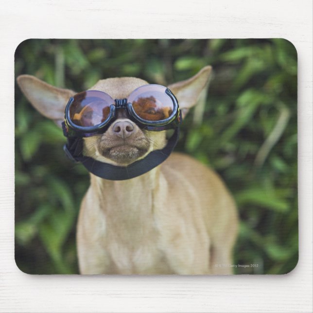 Chihuahua wearing goggles mouse pad (Front)