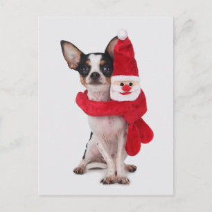 Chihuahua with Santa Claus doll Holiday Postcard