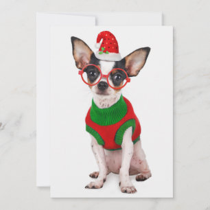 Chihuahua with Santa hat and glasses Holiday Card