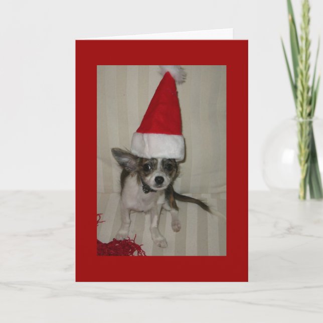 Chihuahua xmas Card (Front)