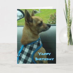Chihuahua Yappy Birthday Card