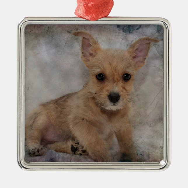 Chihuahua/Yorkie Puppy Metal Tree Decoration (Front)