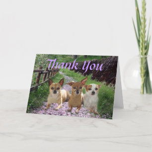 Chihuahua You Thank Card
