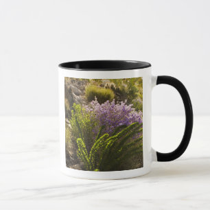 Chihuahuan desert plants in bloom mug