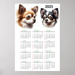 Chihuahuas 2025 Calendar Poster
