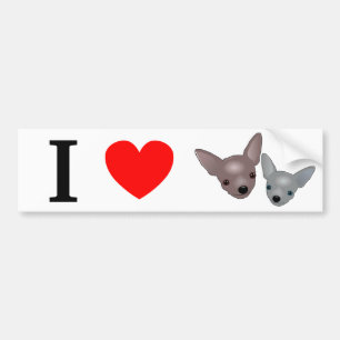 Chihuahuas Bumper Sticker