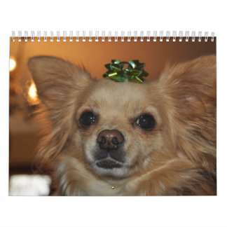 Chihuahua's Calendar