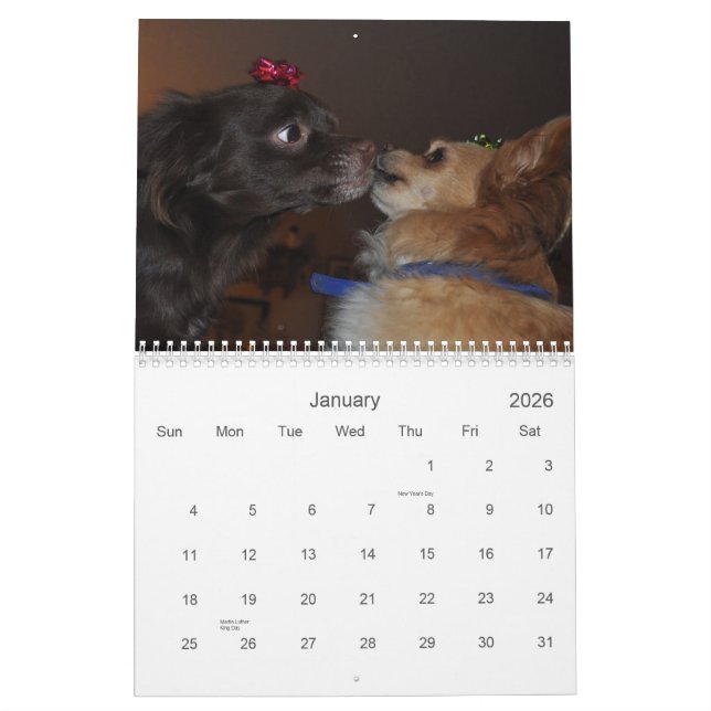 Chihuahua's Calendar (Jan 2026)