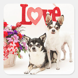 Chihuahua's, Flowers and Love Square Sticker