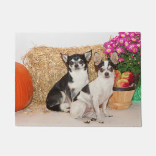 Chihuahua's in the fall doormat