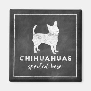 Chihuahuas Spoiled Here Vintage Chalkboard Magnet