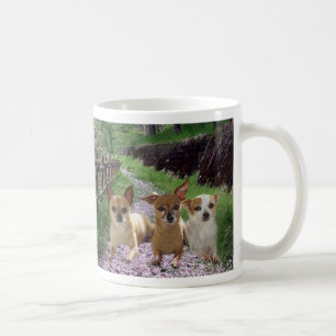 Chihuahuas Trio Mug