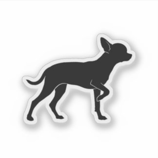 Chihuahueño