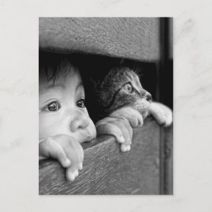 Child and cat postcard