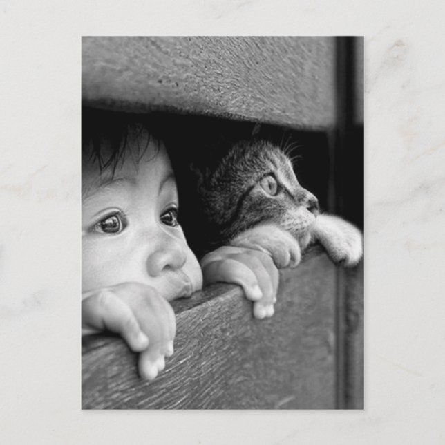 Child and cat postcard (Front)
