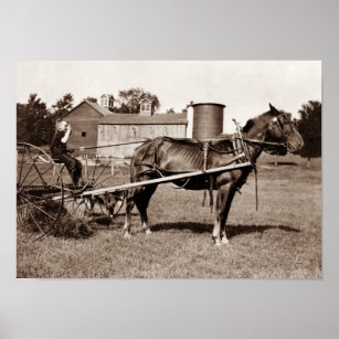 Child Farmer On A Horse Drawn Hay Rake - 1915 Poster