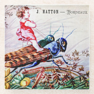 Child Riding Grasshoppers Glass Coaster