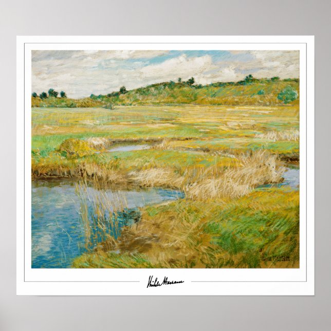 Childe Hassam Zedign Art Poster #20 (Front)