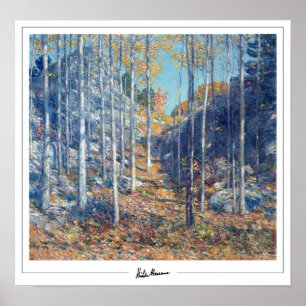 Childe Hassam Zedign Art Poster #359