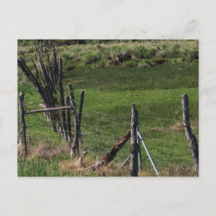 Childhood I Postcard