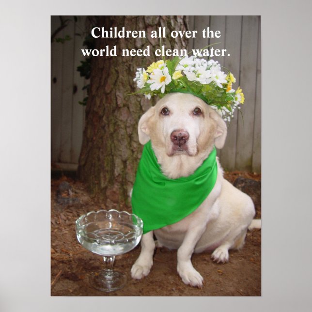 Children all over the world need clean water. poster (Front)