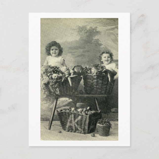 Children in Vegetable Baskets 1906 Vintage Postcard (Front)
