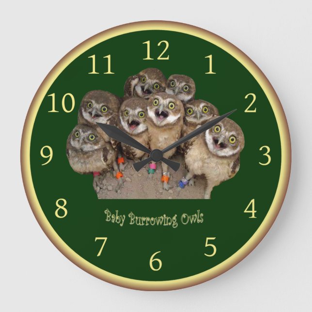Children’s Clock ~ Baby Burrowing Owls ~  (Front)