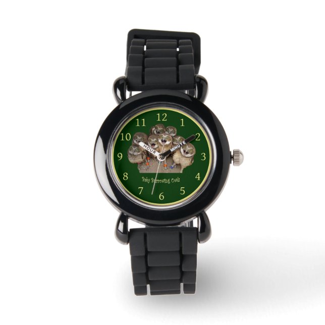 Children’s Clock ~ Baby Burrowing Owls ~  Watch (Front)