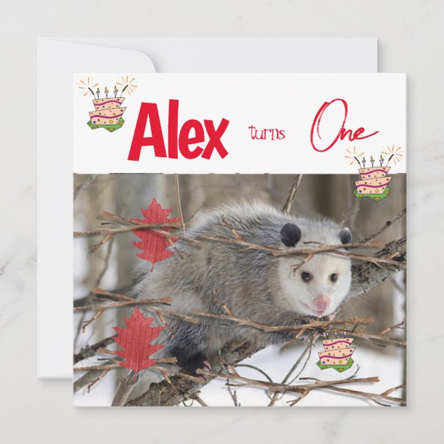 Children's First Birthday Invitation Possum Nature (Front)