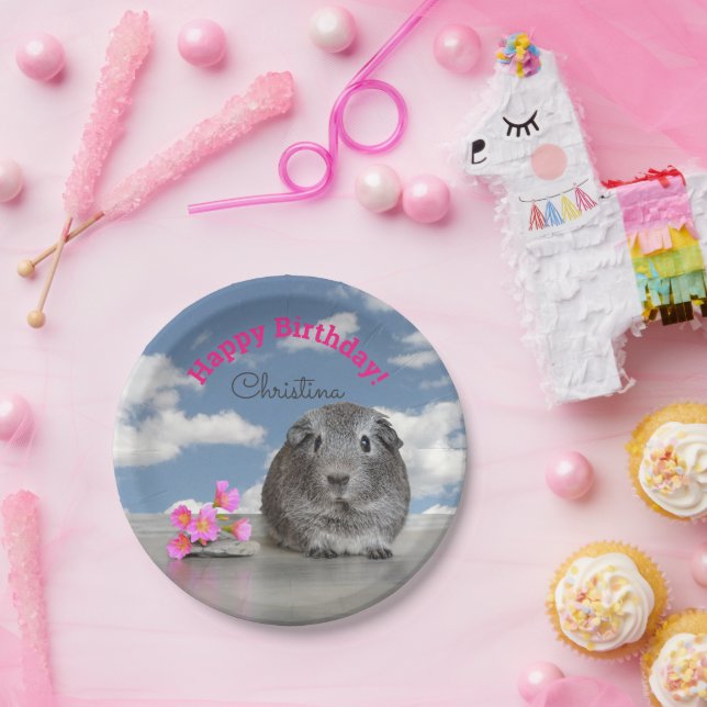 Children's Happy Birthday Party Guinea Pig Sky Paper Plate (Party)