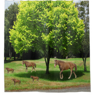 Childrens horses shower curtain