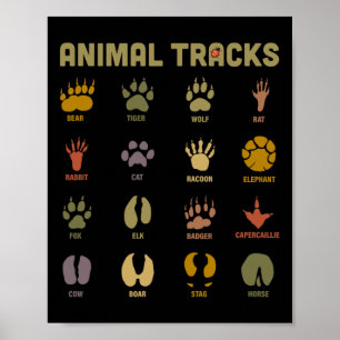 Children's Kids Wild Animal Tracks Childrens Learn Poster