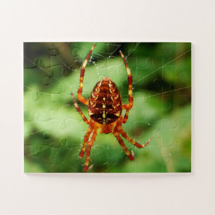 Children's Spider Puzzle