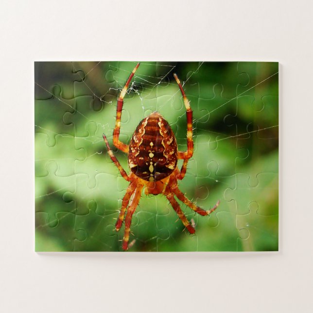 Children's Spider Puzzle (Horizontal)